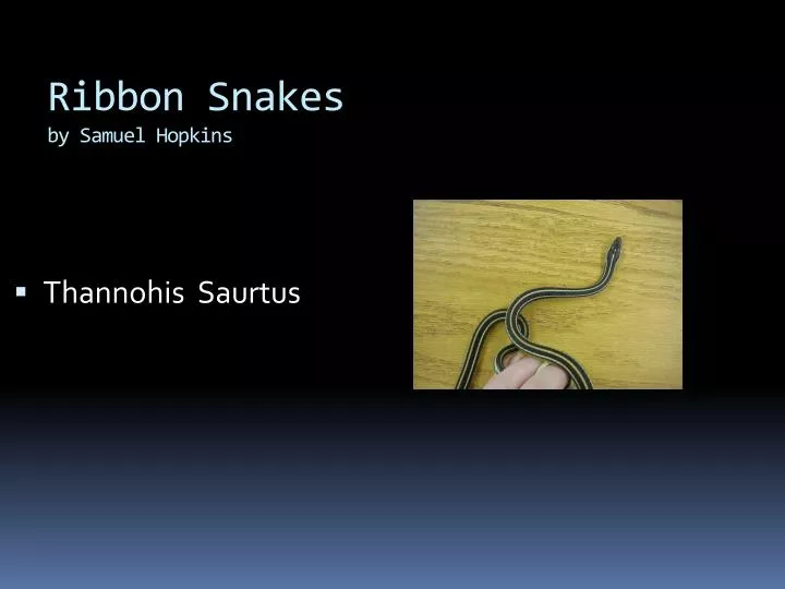 ribbon snakes by samuel hopkins