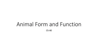 Animal Form and Function