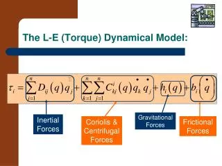 The L-E (Torque) Dynamical Model: