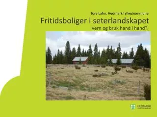 fritidsboliger i seterlandskapet