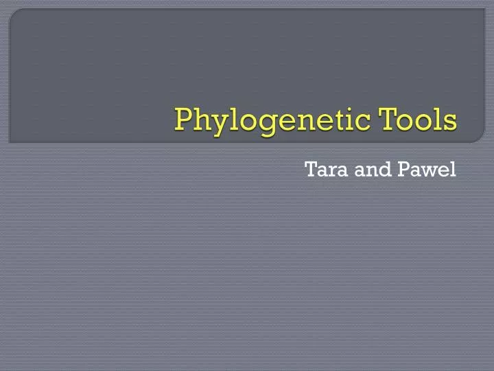 phylogenetic tools