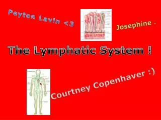 The Lymphatic System !