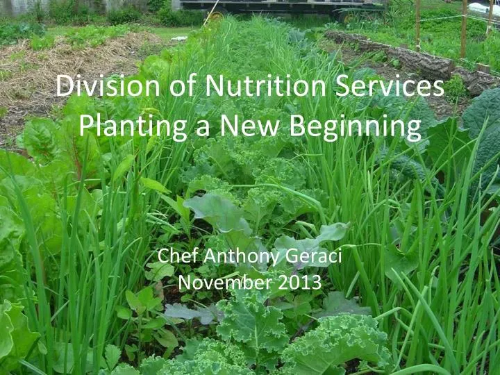 division of nutrition services planting a new beginning