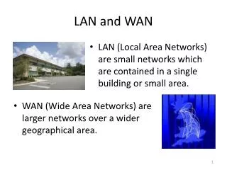LAN and WAN