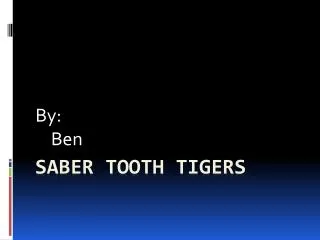 Saber tooth tigers
