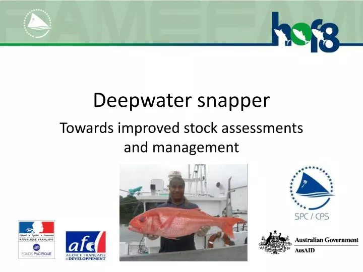 deepwater snapper