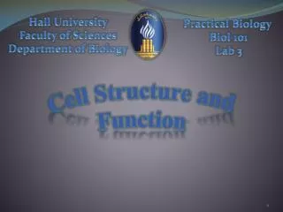 Cell Structure and Function