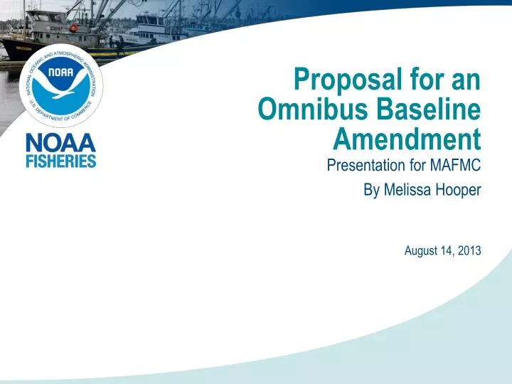 proposal for an omnibus baseline amendment
