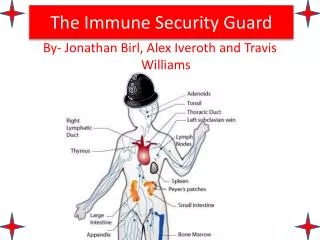 The Immune Security Guard