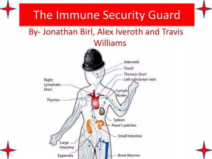 the immune security guard