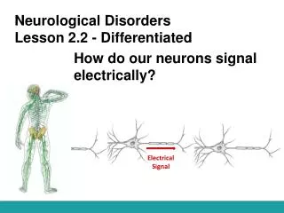 Neurological Disorders Lesson 2.2 - Differentiated
