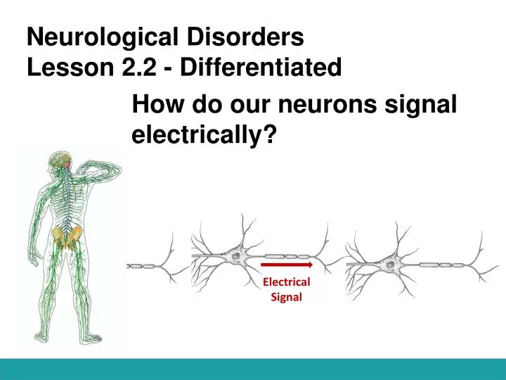 neurological disorders lesson 2 2 differentiated