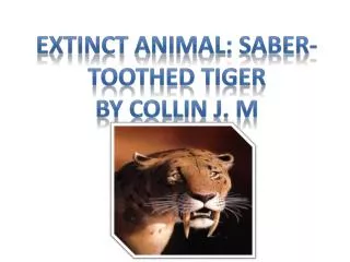 Extinct Animal: Saber- toothed Tiger By collin J. M