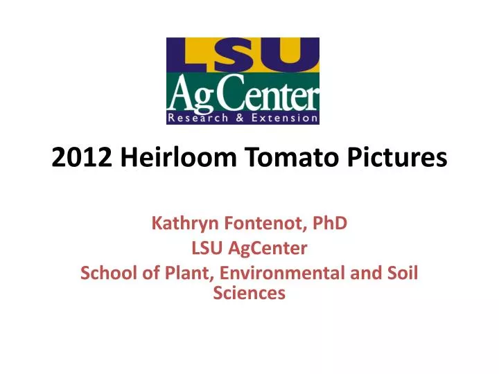 2012 heirloom tomato pictures