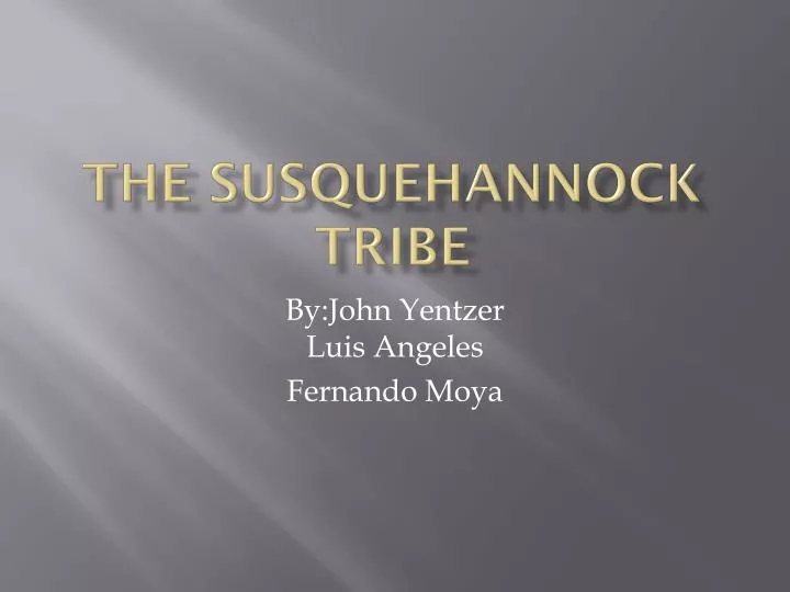 the susquehannock tribe