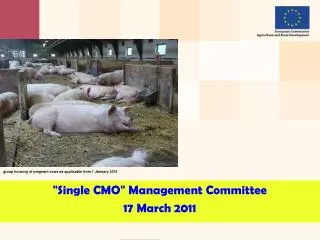 &quot; Single CMO &quot; Management Committee 17 March 2011