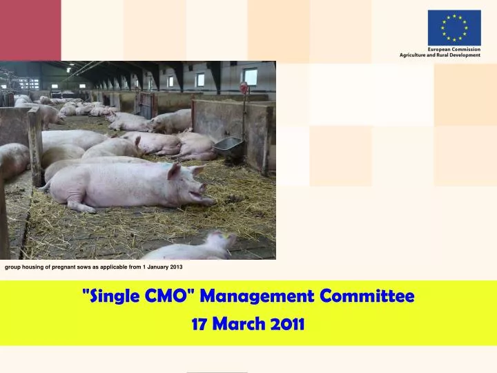 single cmo management committee 17 march 2011