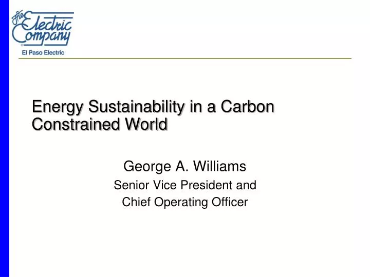 energy sustainability in a carbon constrained world