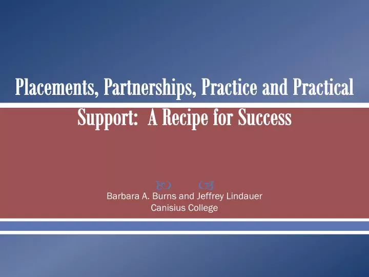 placements partnerships practice and practical support a recipe for success