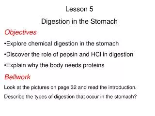 Lesson 5 Digestion in the Stomach