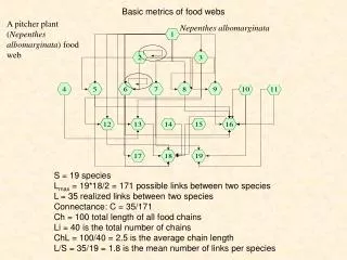 Basic metrics of food webs