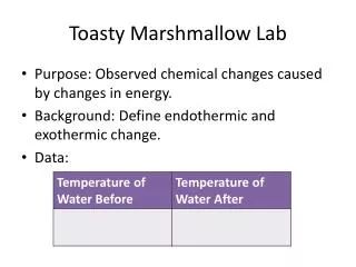 Toasty Marshmallow Lab