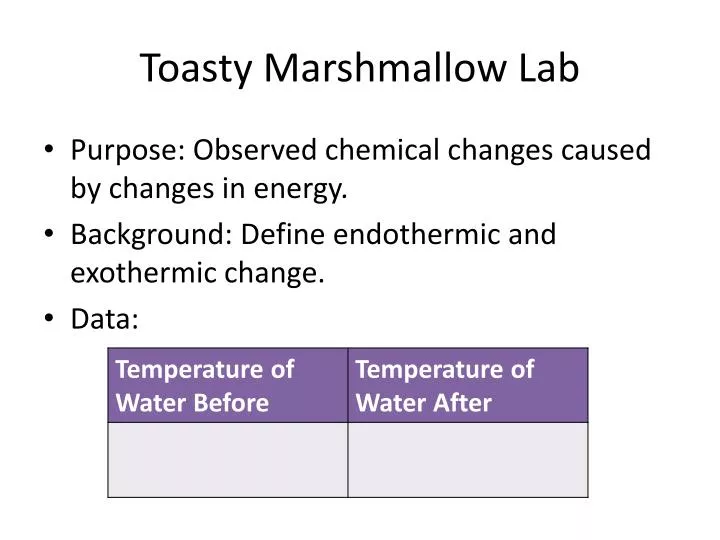 toasty marshmallow lab