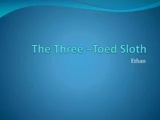 the three toed sloth