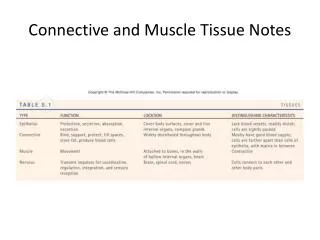 Connective and Muscle Tissue Notes