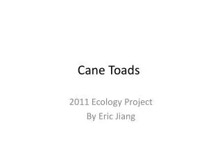 Cane Toads