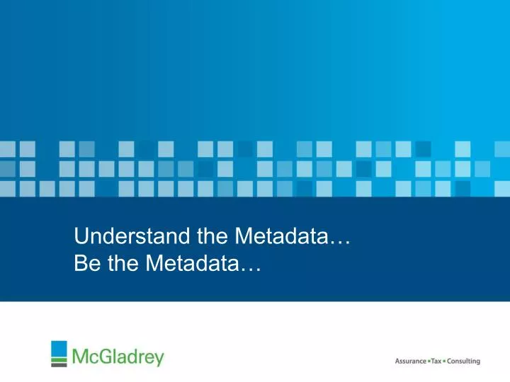 understand the metadata be the metadata