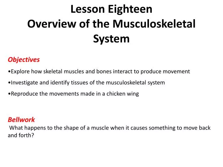 lesson eighteen overview of the musculoskeletal system