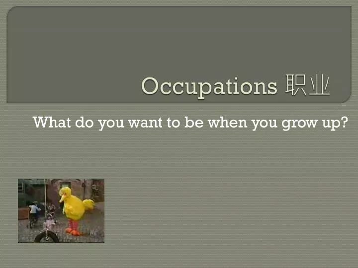 occupations