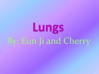 Lungs