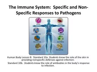 The Immune System: Specific and Non-Specific Responses to Pathogens
