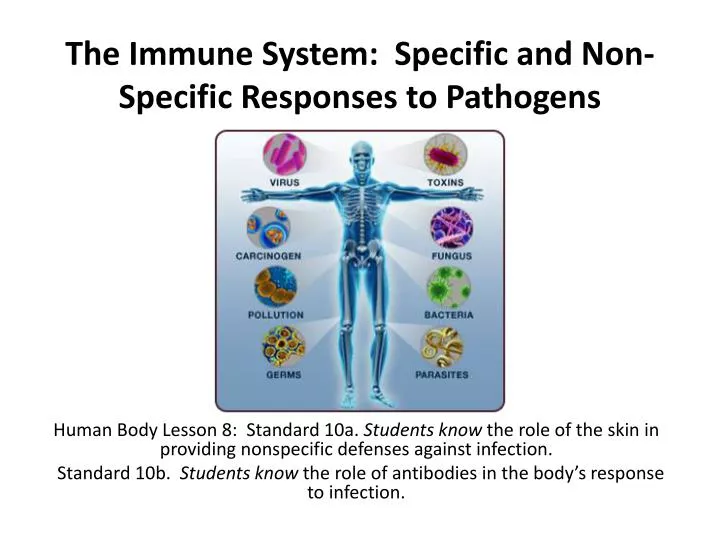 the immune system specific and non specific responses to pathogens