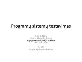 program sistem testavimas