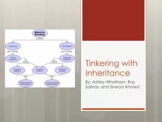 Tinkering with Inheritance