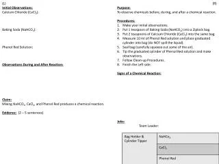 (R) Purpose: To observe chemicals before, during, and after a chemical reaction. Procedures: