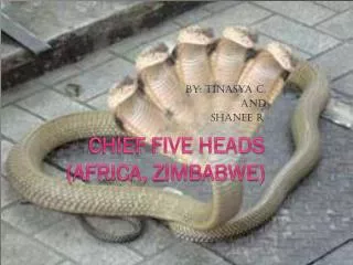 Chief five heads ( A frica, Z imbabwe)