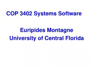 COP 3402 Systems Software