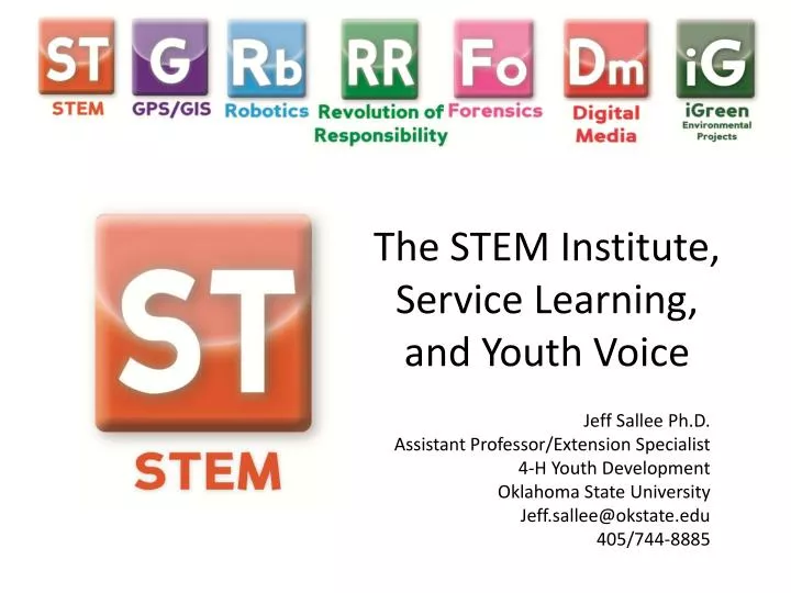 the stem institute service learning and youth voice