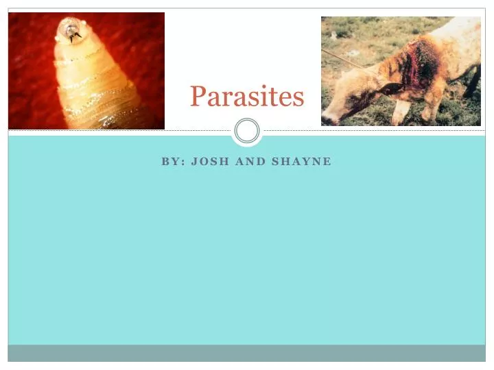 Ppt Parasites Powerpoint Presentation Free Download Id 2490490