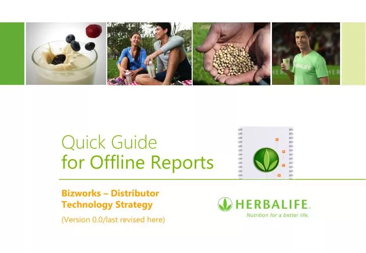 quick guide for offline reports