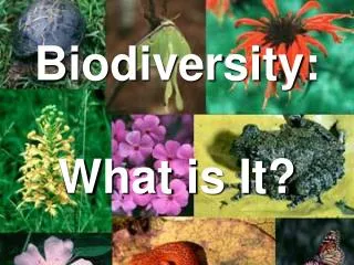 Biodiversity: What is It?