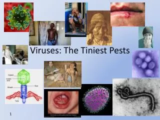 Viruses: The Tiniest Pests