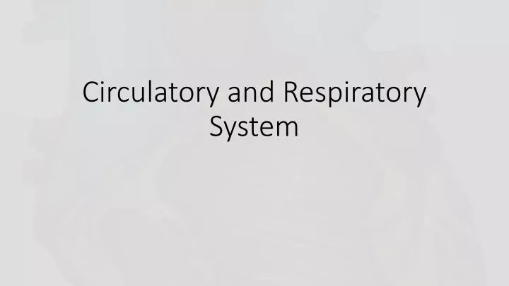 circulatory and respiratory system