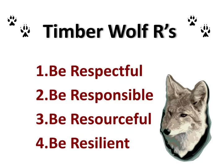 timber wolf r s