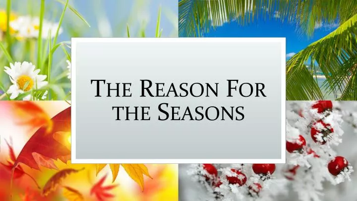 the reason for the seasons