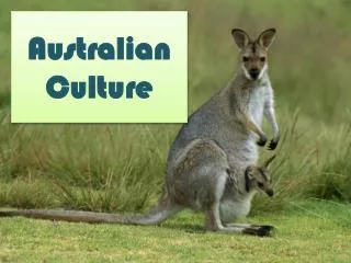 australian culture